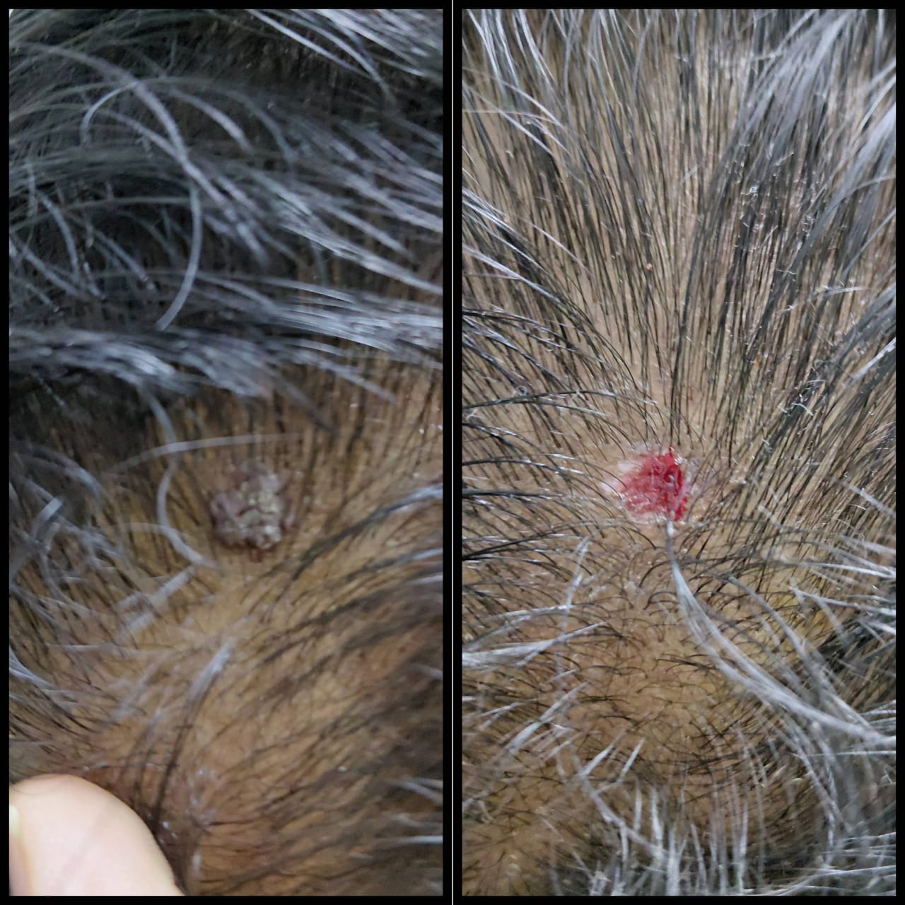 WhatsApp Image 2026-01-16 at 12.51.33 PM